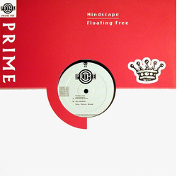 Mindscape Floating Free Vinyl 12" USED