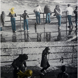 Ben Watt North Marine Drive Vinyl LP USED