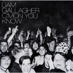 Liam Gallagher C'mon You Know Vinyl LP USED