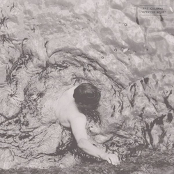 Rat Columns Sceptre Hole Vinyl LP USED