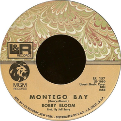 Bobby Bloom Montego Bay Vinyl 7" USED