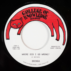 Brenda (38) Where Did I Go Wrong? Vinyl 7" USED