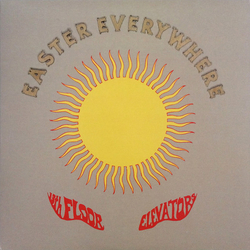 13th Floor Elevators Easter Everywhere Vinyl LP USED
