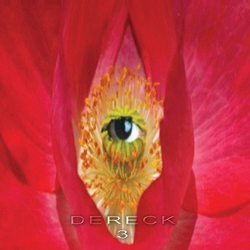 Dereck Higgins Dereck 3 Vinyl LP USED