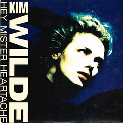 Kim Wilde Hey Mister Heartache Vinyl 7" USED