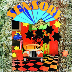 Sensory System Sensory Vinyl LP USED