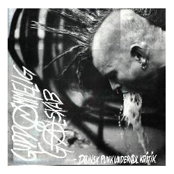 Guddommelig Galskab Dansk Punk Under Al Kritik Vinyl LP USED