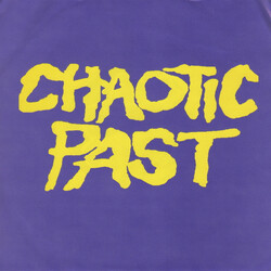 Chaotic Past Distraught And Out Of Control USED VINYL 7INCH