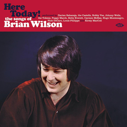 Brian Wilson Here Today! (The Songs of Brian Wilson) Vinyl LP USED