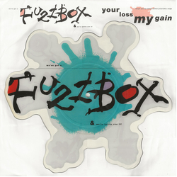 We've Got A Fuzzbox And We're Gonna Use It Your Loss My Gain Vinyl 7" USED