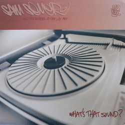 Sam Sever And The Raiders Of The Lost Art What's That Sound? Vinyl 12" USED