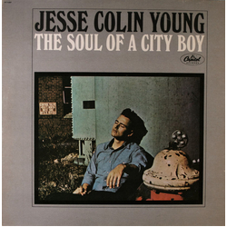 Jesse Colin Young The Soul Of A City Boy Vinyl LP USED