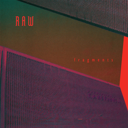 Raw (8) Fragments Vinyl 12" USED