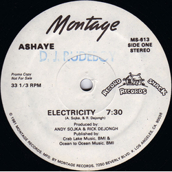 Ashaye Electricity Vinyl 12" USED