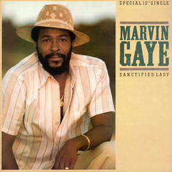 Marvin Gaye Sanctified Lady Vinyl 12" USED