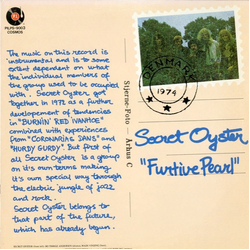 Secret Oyster Furtive Pearl Vinyl LP USED