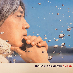 Ryuichi Sakamoto Chasm Vinyl LP USED