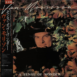 Van Morrison A Sense Of Wonder Vinyl LP USED