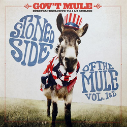 Gov't Mule Stoned Side Of The Mule - Vol.1 & 2 Vinyl 2 LP USED