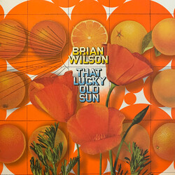 Brian Wilson That Lucky Old Sun Vinyl LP USED