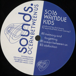 Wamdue Kids Ocean Between Us Vinyl 12" USED