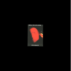 Small Fish With Spine Stickleback Vinyl 12" USED