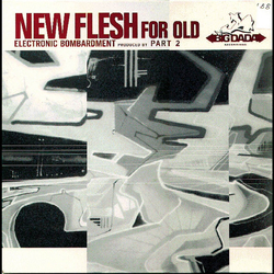 New Flesh For Old Electronic Bombardment Vinyl 12" USED