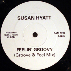 Susan Hyatt Feelin' Groovy Vinyl 12" USED