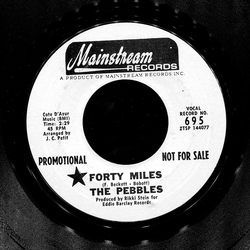The Pebbles Forty Miles Vinyl 7" USED