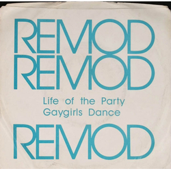 Remod Life Of The Party Vinyl 7" USED