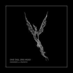 One Tail, One Head Firebirds b/w Prowess Vinyl 12" USED