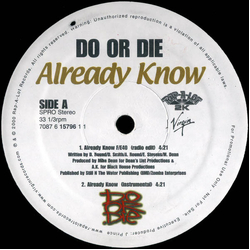 Do Or Die Already Know Vinyl 12" USED