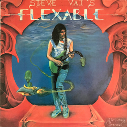 Steve Vai Flex-Able Vinyl LP USED
