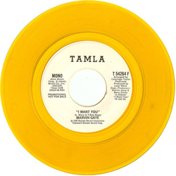 Marvin Gaye I Want You Vinyl 7" USED