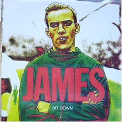 James Sit Down Vinyl 12" USED