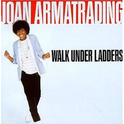 Joan Armatrading Walk Under Ladders Vinyl LP USED