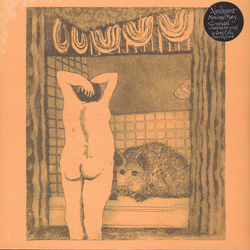 Needlepoint Aimless Mary Multi Vinyl LP/CD USED