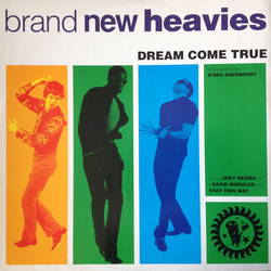 The Brand New Heavies / N'Dea Davenport Dream Come True Vinyl 12" USED