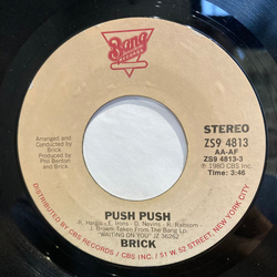 Brick Push Push Vinyl 7" USED