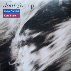 Peter Gabriel / Kate Bush Don't Give Up Vinyl 12" USED