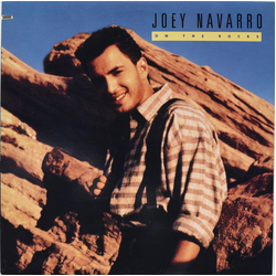 Joey Navarro On The Rocks Vinyl LP USED