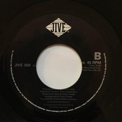 R. Kelly Bump N Grind / She's Got That Vibe Vinyl 7" USED