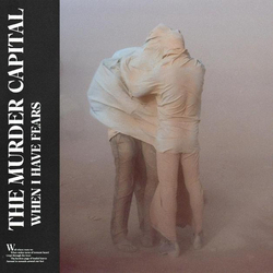 The Murder Capital When I Have Fears Vinyl LP USED