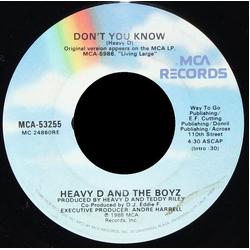 Heavy D. & The Boyz Don't You Know / Moneyearnin' Mount Vernon Vinyl 7" USED
