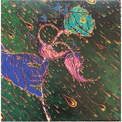 Grave Flowers Bongo Band Strength of Spring Vinyl LP USED