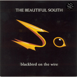 The Beautiful South Blackbird On The Wire Vinyl 7" USED