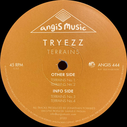 Tryezz Terrains Vinyl 12" USED