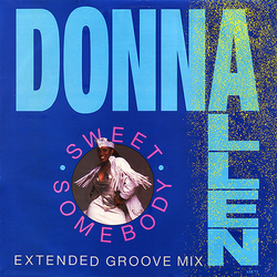 Donna Allen Sweet Somebody (Extended Groove Mix) Vinyl 12" USED