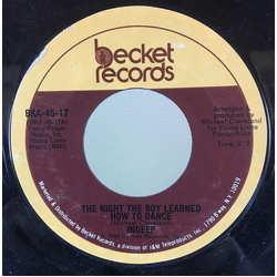 Indeep The Night The Boy Learned How To Dance / If You Want It Vinyl 7" USED