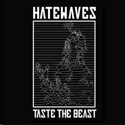 Hatewaves Taste The Beast Vinyl 7" USED